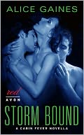 Storm Bound: A Cabin Fever Novella