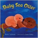 Baby Sea Otter
