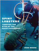 Spiny Lobsters: Through the Eyes of the Giant Packhorse
