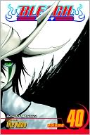 Bleach, Volume 40
