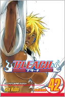 Bleach, Volume 42