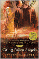 City of Fallen Angels