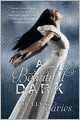 A Beautiful Dark