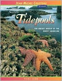 Secrets of Tidepools