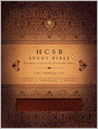HCSB Study Bible (Mahogany Duotone Simulated Leather - Indexed)