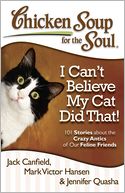 Chicken Soup for the Soul by Jack Canfield: Book Cover