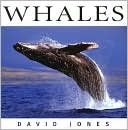 Whales