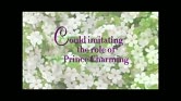 May11_3/Princess_Charming_BB_9fd0584d44aa55650447cbdd68c0a32dc339981f