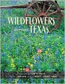 Wildflowers across Texas