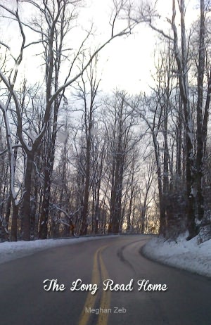 The Long Road Home [NOOK Book]