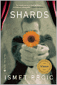 Shards