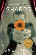 Shards