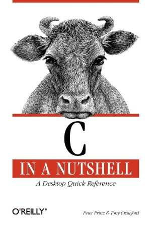 C In A Nutshell