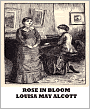 Rose In Bloom