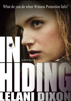 In Hiding (Mystery, Romantic Suspense)