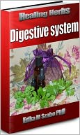 Healing Herbs for the digestive system