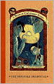 The Hostile Hospital: Book the Eighth (A Series of Unfortunate Events)