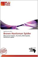 Brown Huntsman Spider