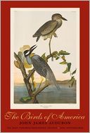The Birds of America: The Bien Choromolithographic Edition