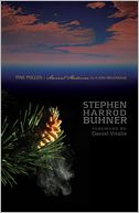 Pine Pollen: Ancient Medicine for a New Millennium