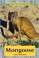 Mongoose