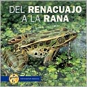Del Renacuajo a la Rana
