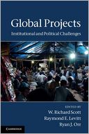 Global Projects: Institutional and Political Challenges