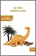 La vida maravillosa