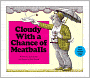 Cloudy with a Chance of Meatballs