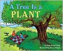 Tree Is a Plant