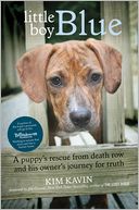Little Boy Blue by Kim Kavin: Book Cover