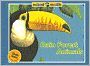 Rain Forest Animals (Animal Worlds Series)