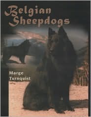 Belgian Sheepdogs