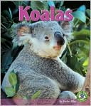 Koalas