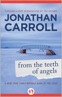 From the Teeth of Angels by Jonathan Carroll: NOOK Book Cover