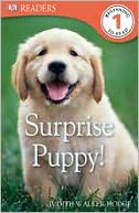 download Surprise Puppy (DK Readers Series Level 1) book