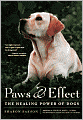 Paws & Effect: The Healing Power of Dogs