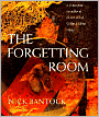Forgetting Room: A Fiction