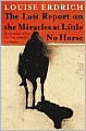 The Last Report on the Miracles at Little No Horse