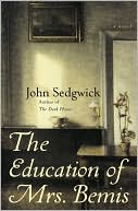 Education of Mrs. Bemis: A Novel