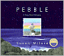 Pebble: A Story About Belonging