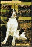 English Springer Spaniel