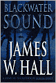 Blackwater Sound (Thorn Series #7)