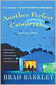 Another Perfect Catastrophe and Other Stories