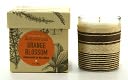 Orange Blossom Botanical Glass Candle by Paddywax, LLC: Product Image
