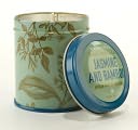 Jasmine Bamboo Botanical Tin Candle by Paddywax, LLC: Product Image