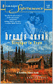 Stranger in Town (Dundee, Idaho Series)