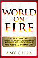 World on Fire: How Exporting Free Market Democracy Breeds Ethnic Hatred and Global Instability