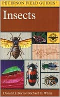 A Field Guide to Insects: America North of Mexico