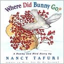 Where Did Bunny Go?: A Bunny and Bird Story